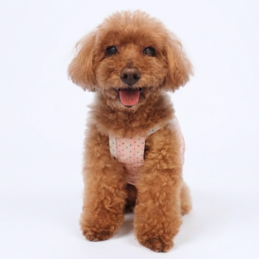 犬服 小型犬|ドット柄リボンロンパース