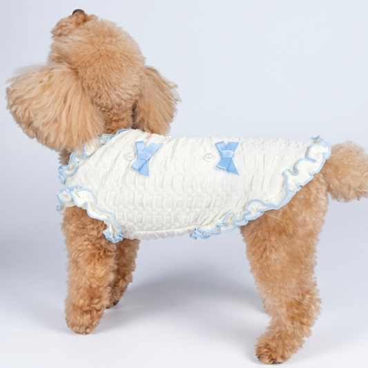 犬服 小型犬|パールリボンフリルワンピース 上品ブルーリボンデザイン