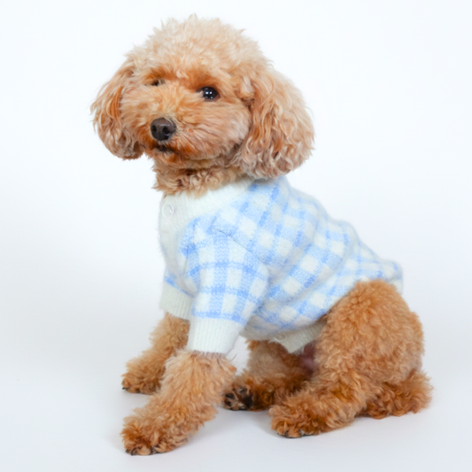 犬服 小型犬|ギンガムチェック ニットカーディガン(ブルー)