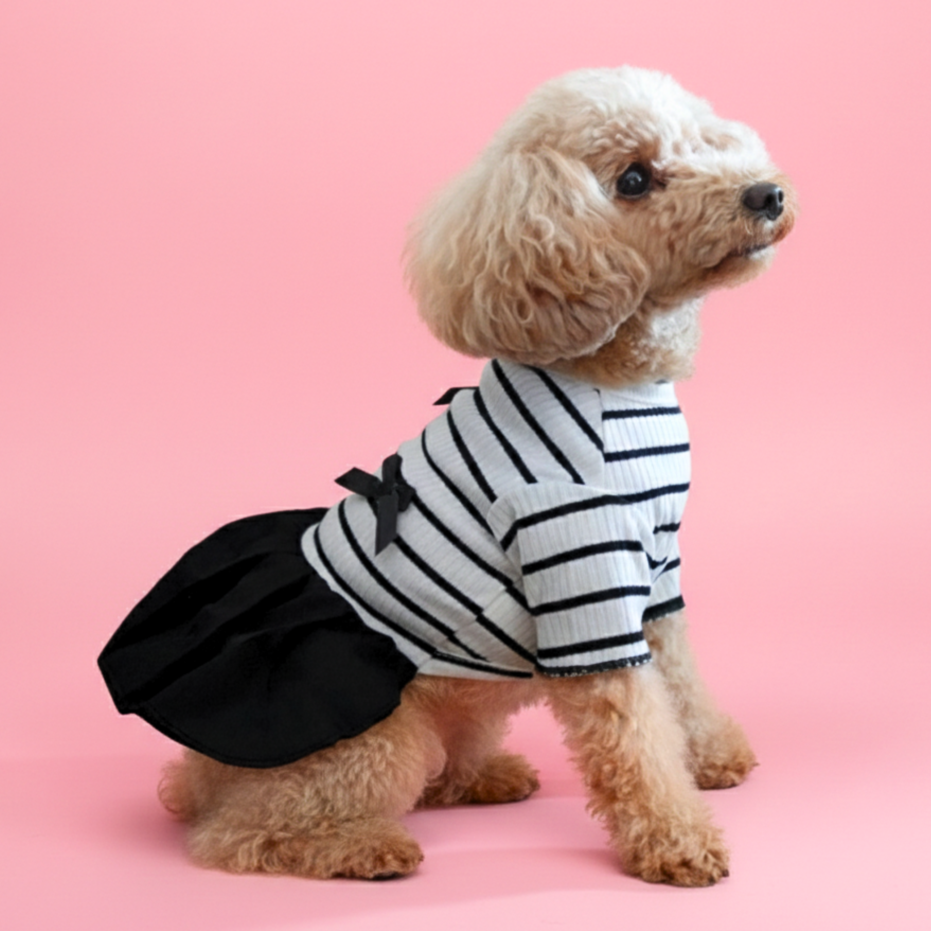 犬服 小型犬 女の子｜リボン付き ボーダーフリルワンピース – Maison