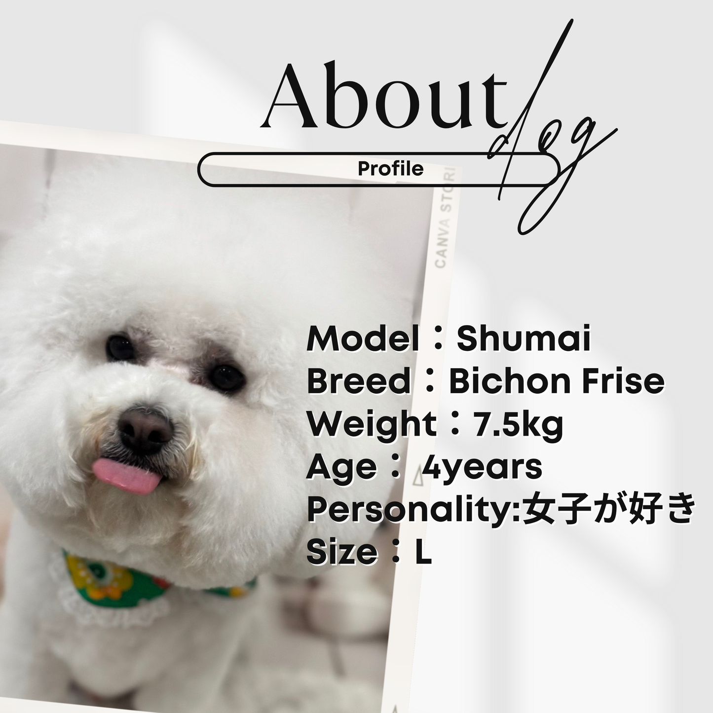 犬服 小型犬｜ カジュアルTシャツ スポーティデザイン