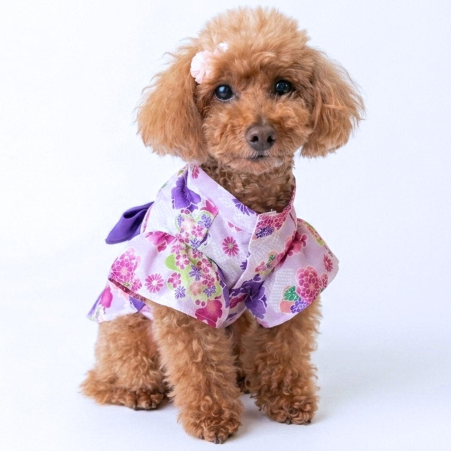 犬服 小型犬｜桜柄リボン浴衣 和風 夏祭り