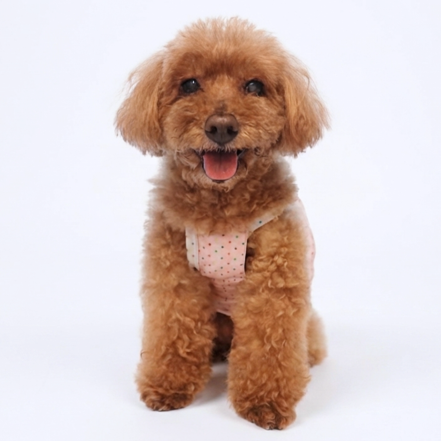 犬服 小型犬｜ドット柄リボンロンパース