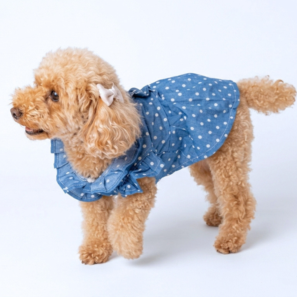 犬服 小型犬｜ドット柄フリルデニムワンピース