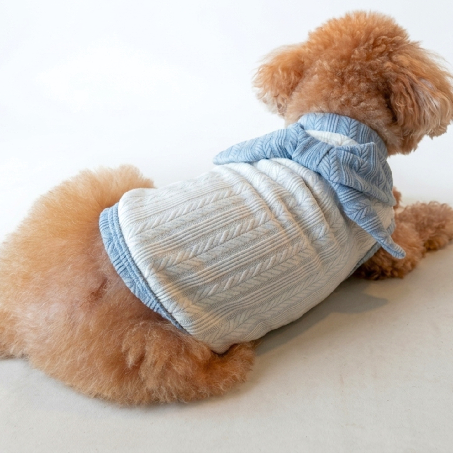 犬服 小型犬｜ケーブルニット風トップス ブルーリボン付き ナチュラルデザイン