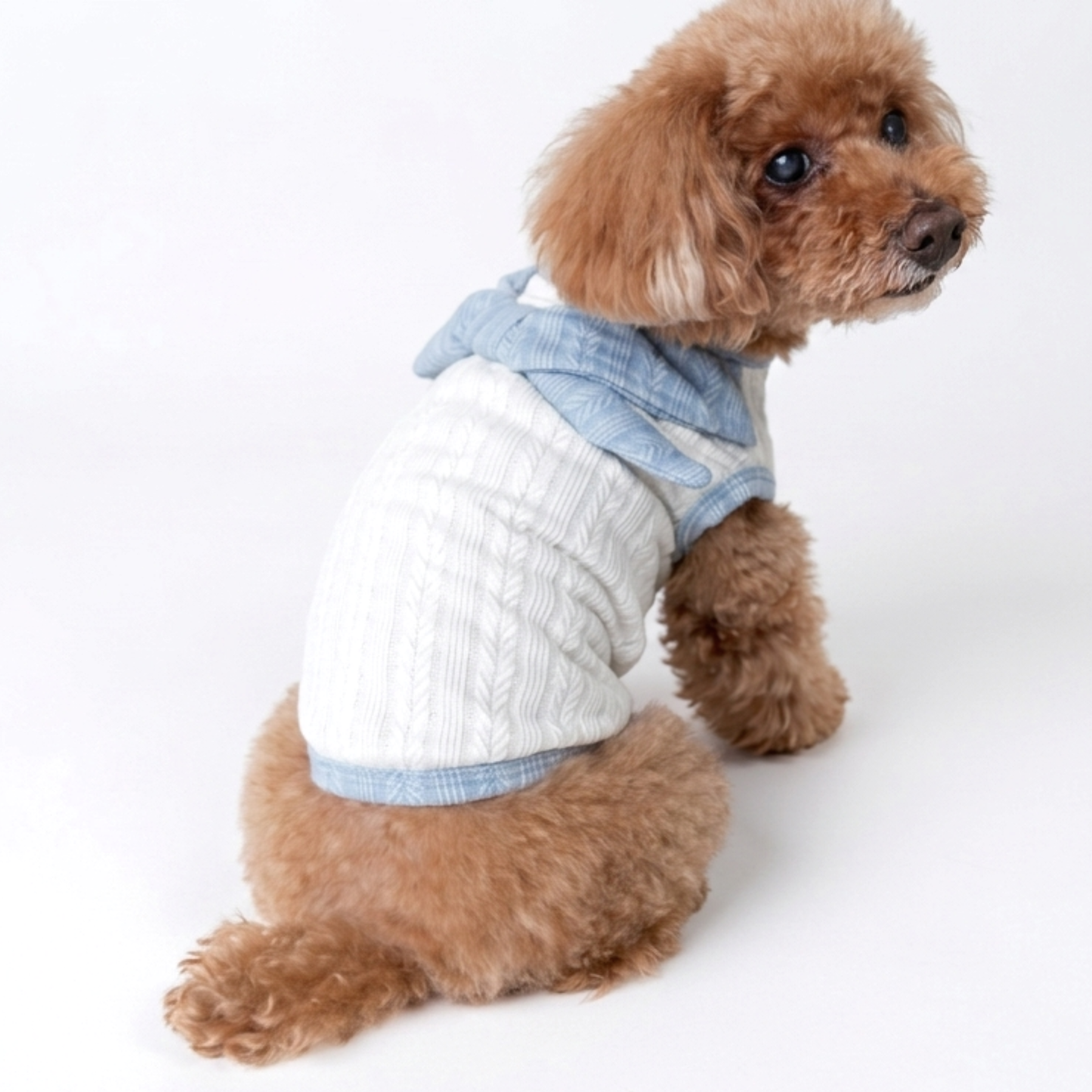 犬服 小型犬｜ケーブルニット風トップス ブルーリボン付き ナチュラルデザイン