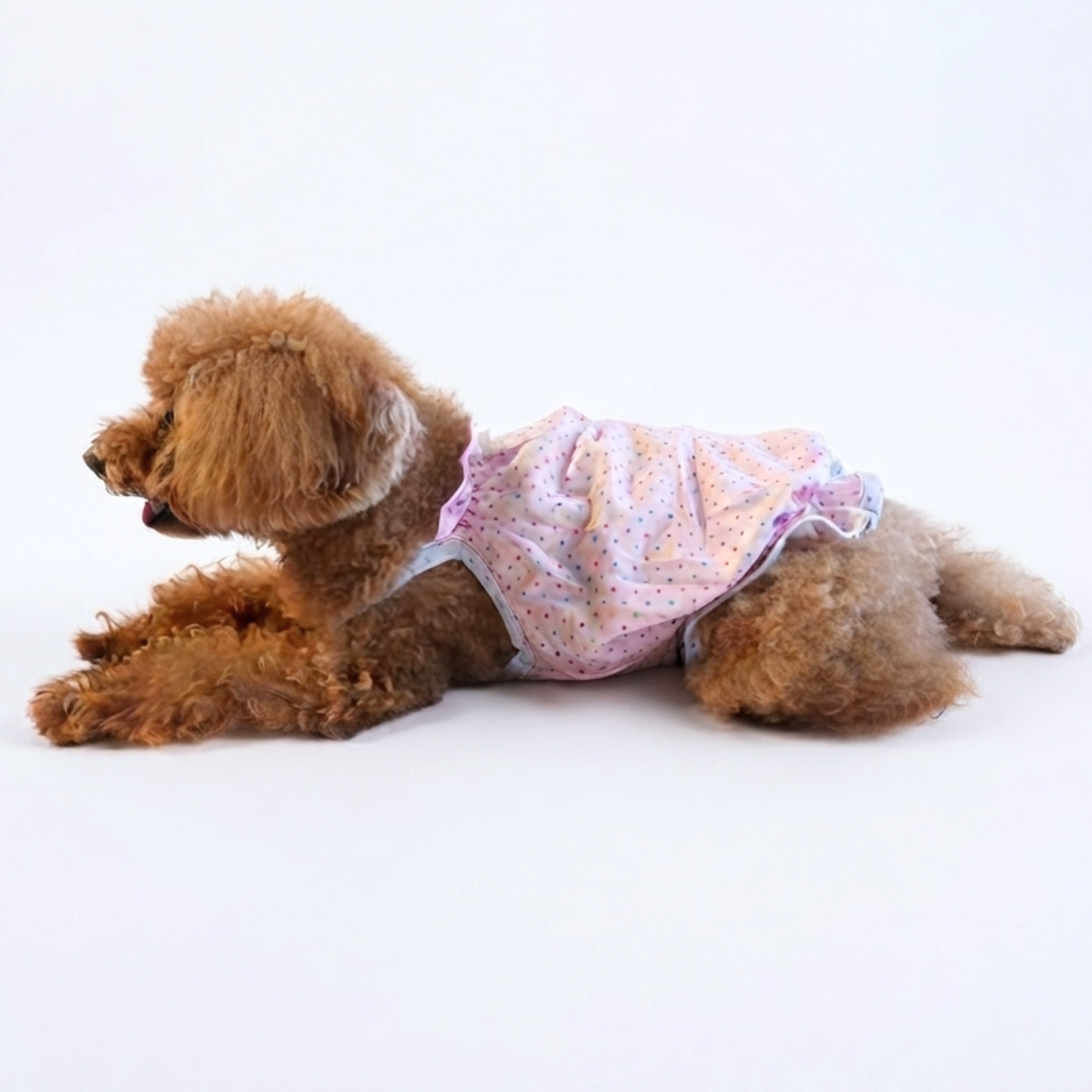 犬服 小型犬｜ドット柄リボンロンパース