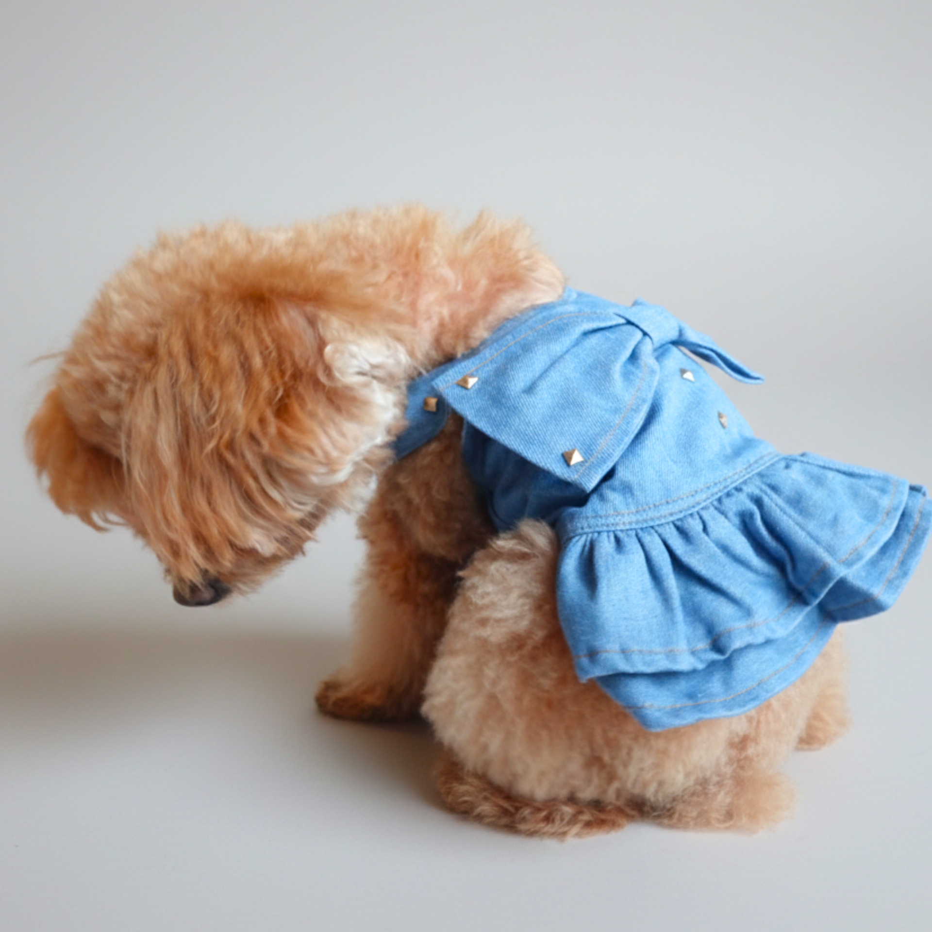 【新品未使用】Barbie他　犬服まとめ売り5枚セット　パピー　デニム 犬服 小型犬 ｜デニム風リボンワンピース スタッズ付き – Maison de Mii