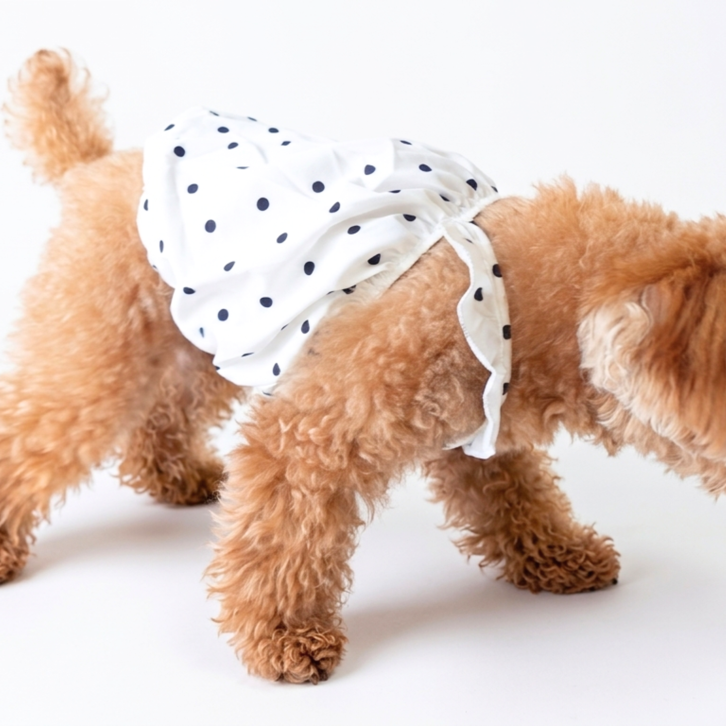 犬服 小型犬｜ドット柄フリルワンピース ホワイトガーリーデザイン