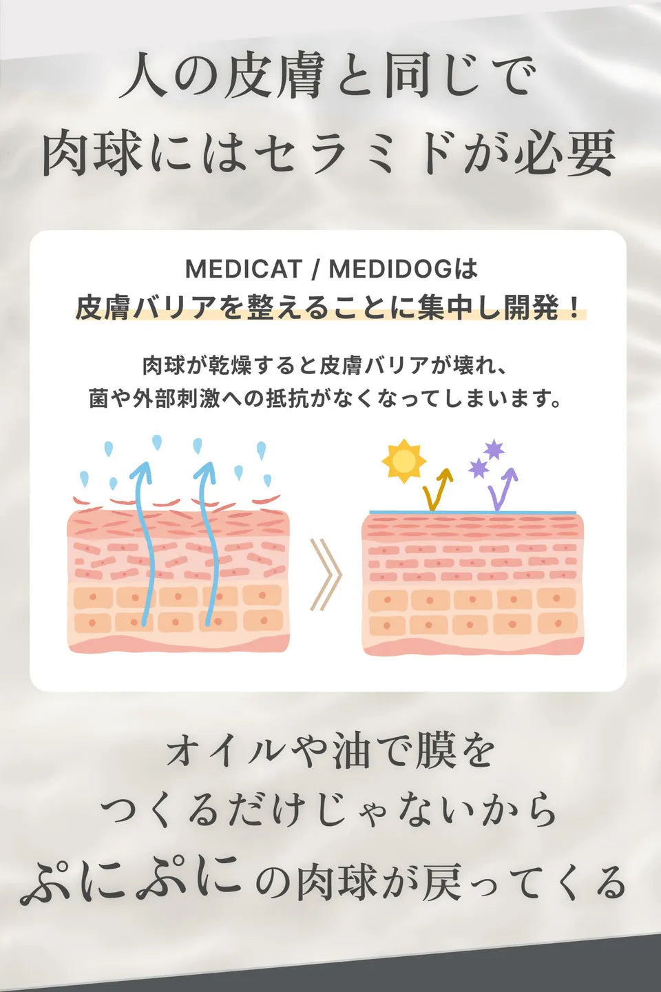 [薬剤師×獣医師監修] MEDICAT/MEDIDOG 肉球クリーム PAW CREAM 20g