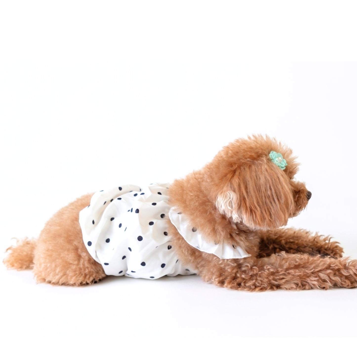 犬服 小型犬｜ドット柄フリルワンピース ホワイトガーリーデザイン