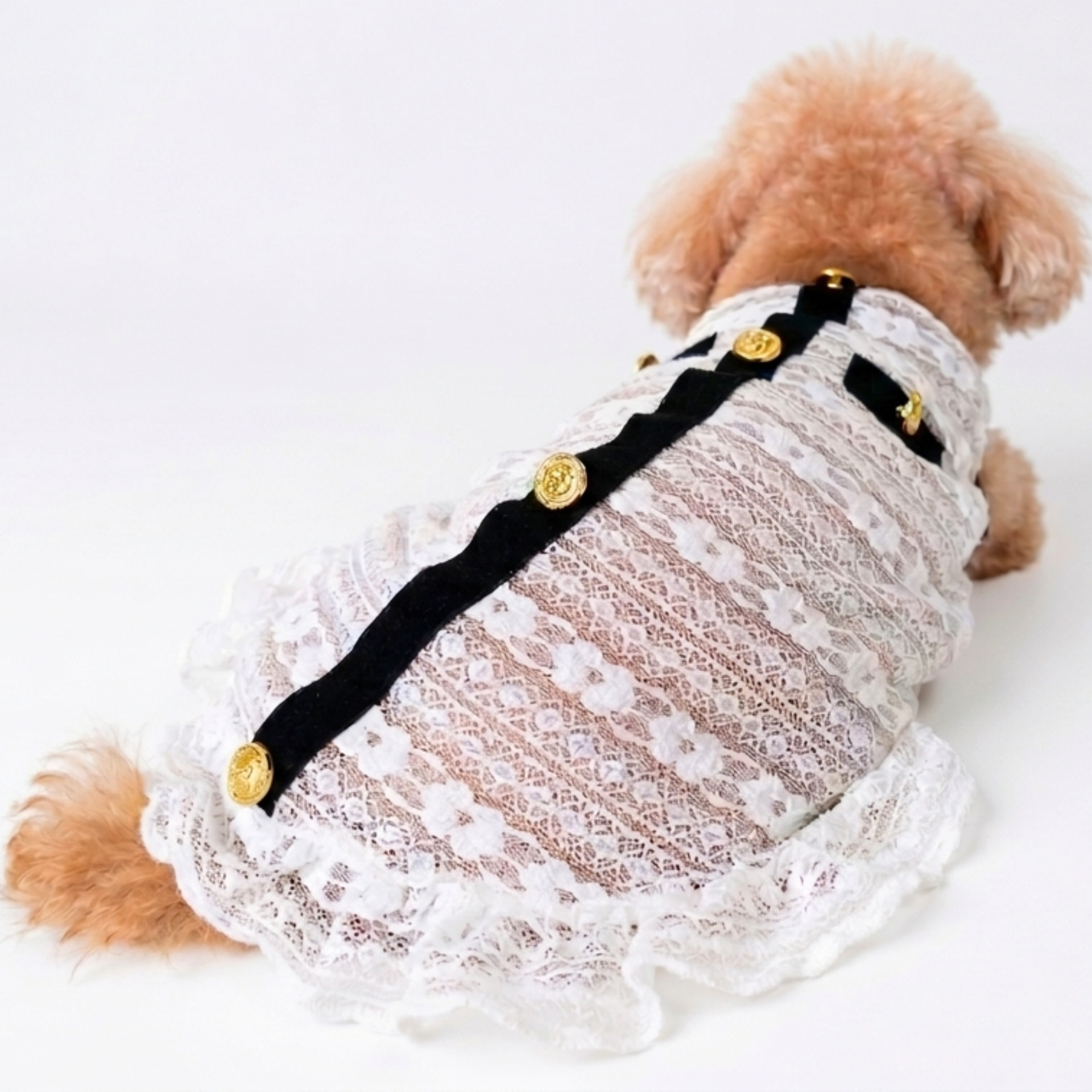 犬服 小型犬 ワンピース｜ゴールドボタン レース フリル 上品 – Maison