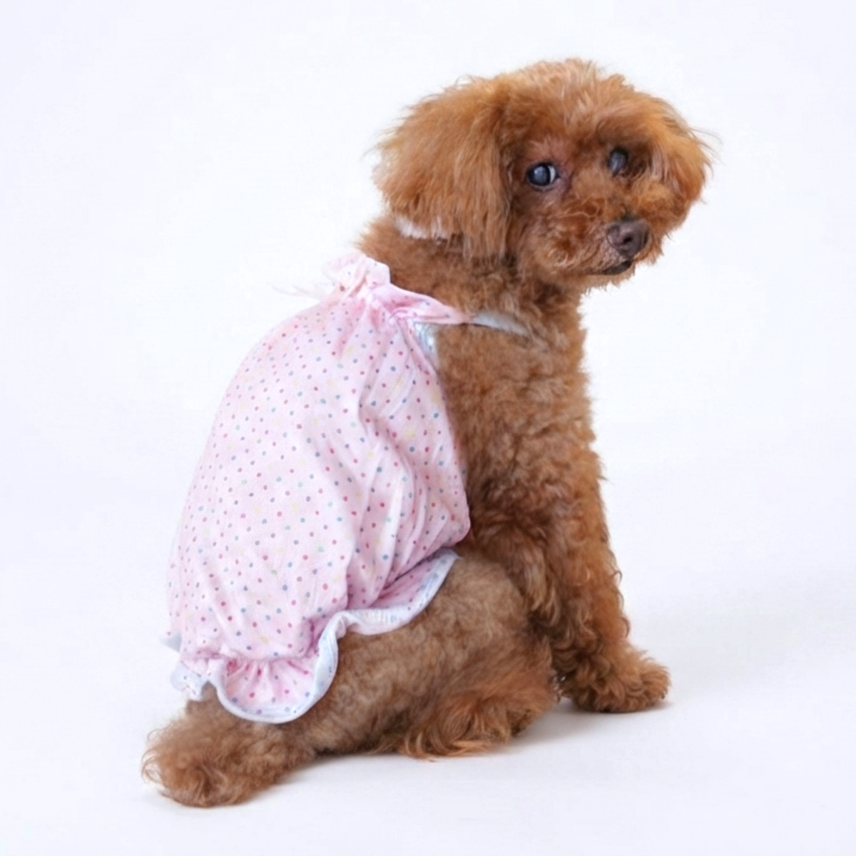 犬服 小型犬｜ドット柄リボンロンパース