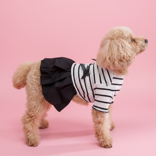 犬服 小型犬｜リボン付き ボーダーフリルワンピース（オールシーズン）
