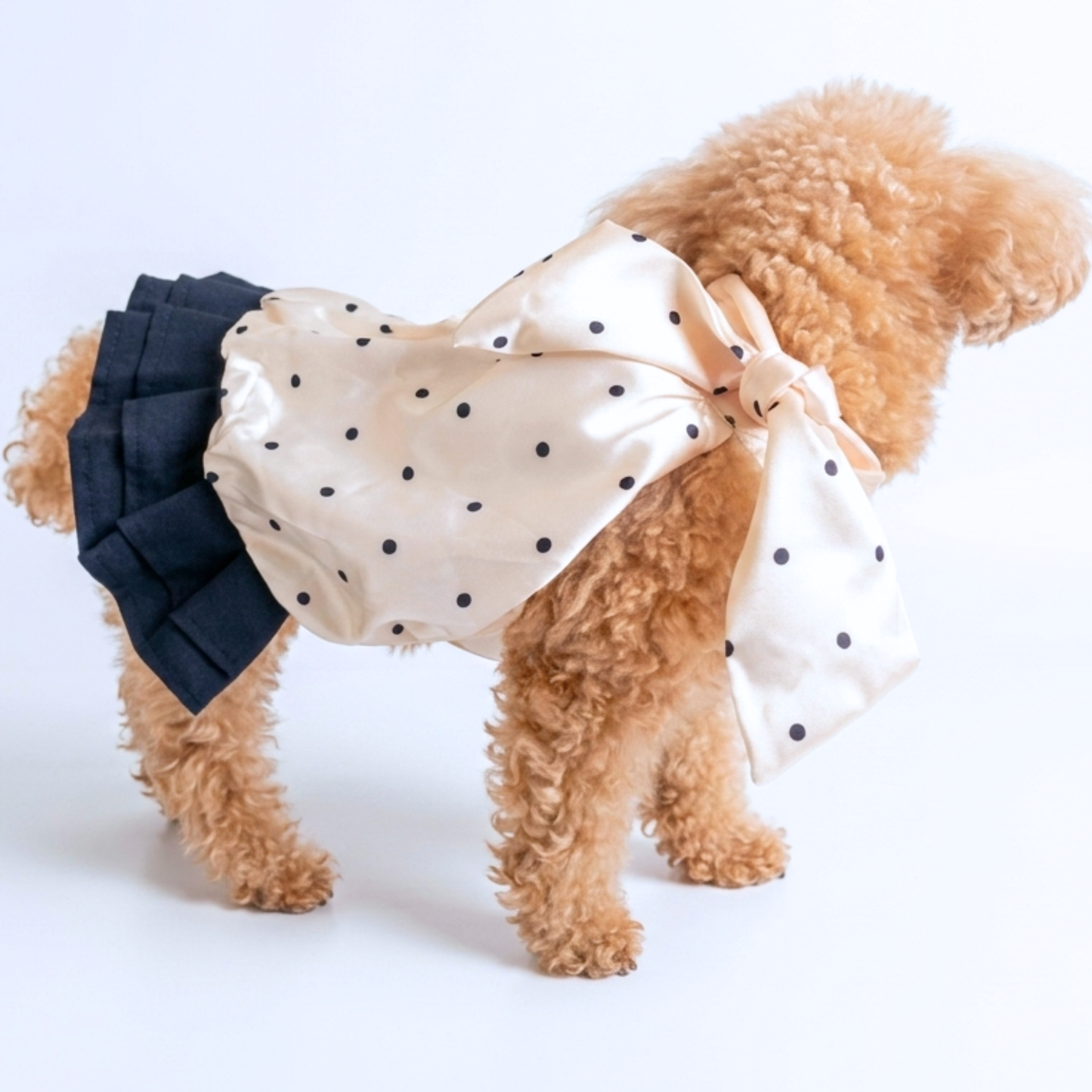 犬服 小型犬｜チョーカーリボン ドットワンピース