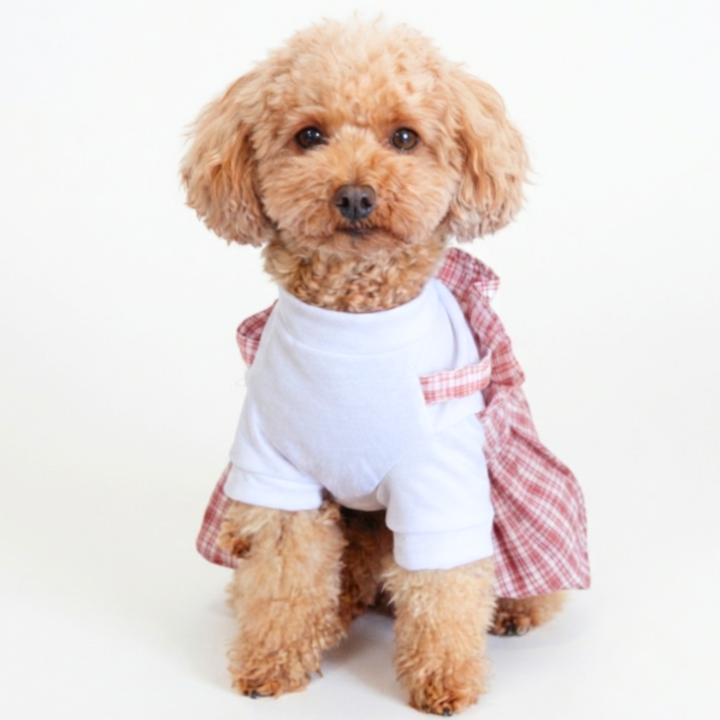 犬服 小型犬｜ギンガムチェック トップス付きワンピース（ミニ帽子付き）