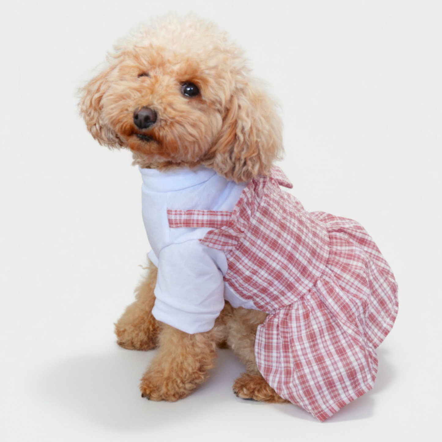 犬服 小型犬｜ギンガムチェック トップス付きワンピース（ミニ帽子付き）
