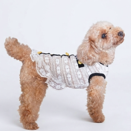 犬服 小型犬｜クラシカル 上品 シースルー レースワンピース