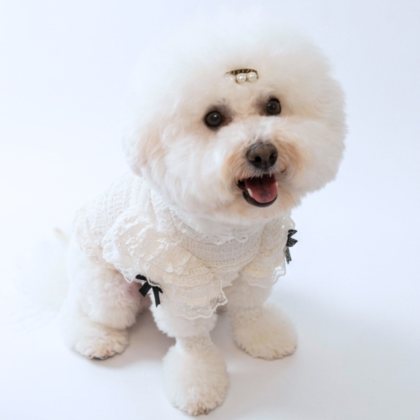 犬服 小型犬｜レースフリルトップス ガーリー