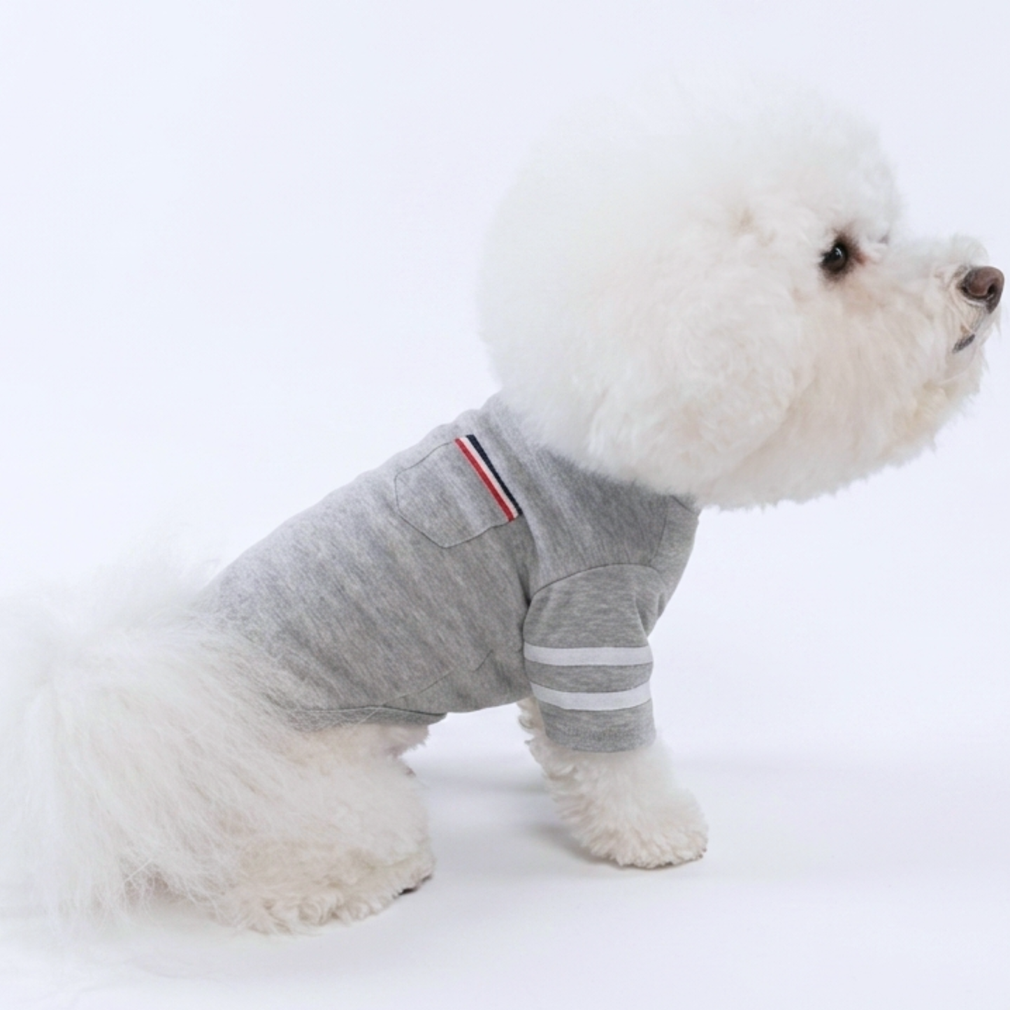 犬服 小型犬｜ カジュアルTシャツ スポーティデザイン