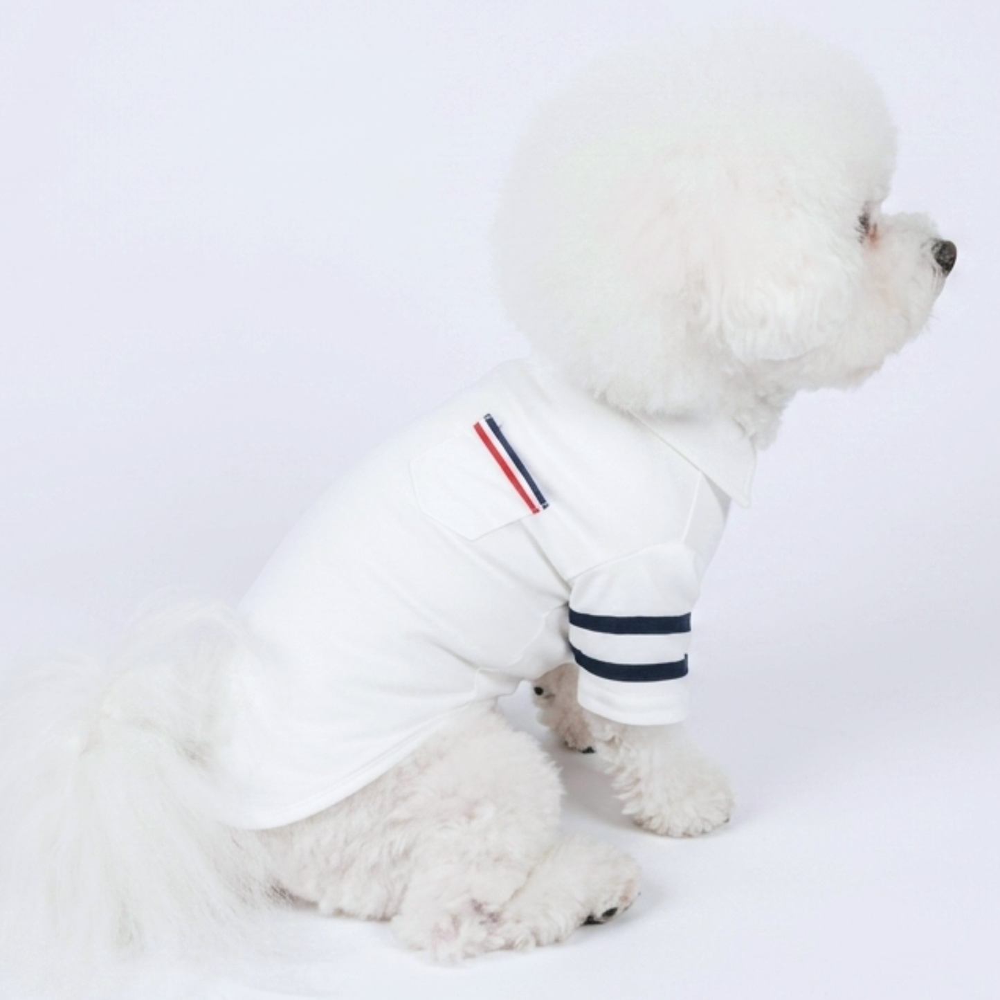 犬服 小型犬｜ カジュアルTシャツ スポーティデザイン