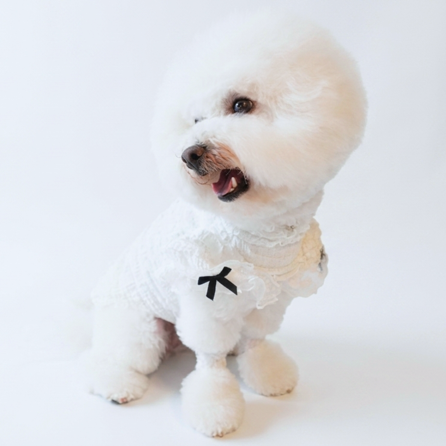 犬服 小型犬｜レースフリルトップス ガーリー