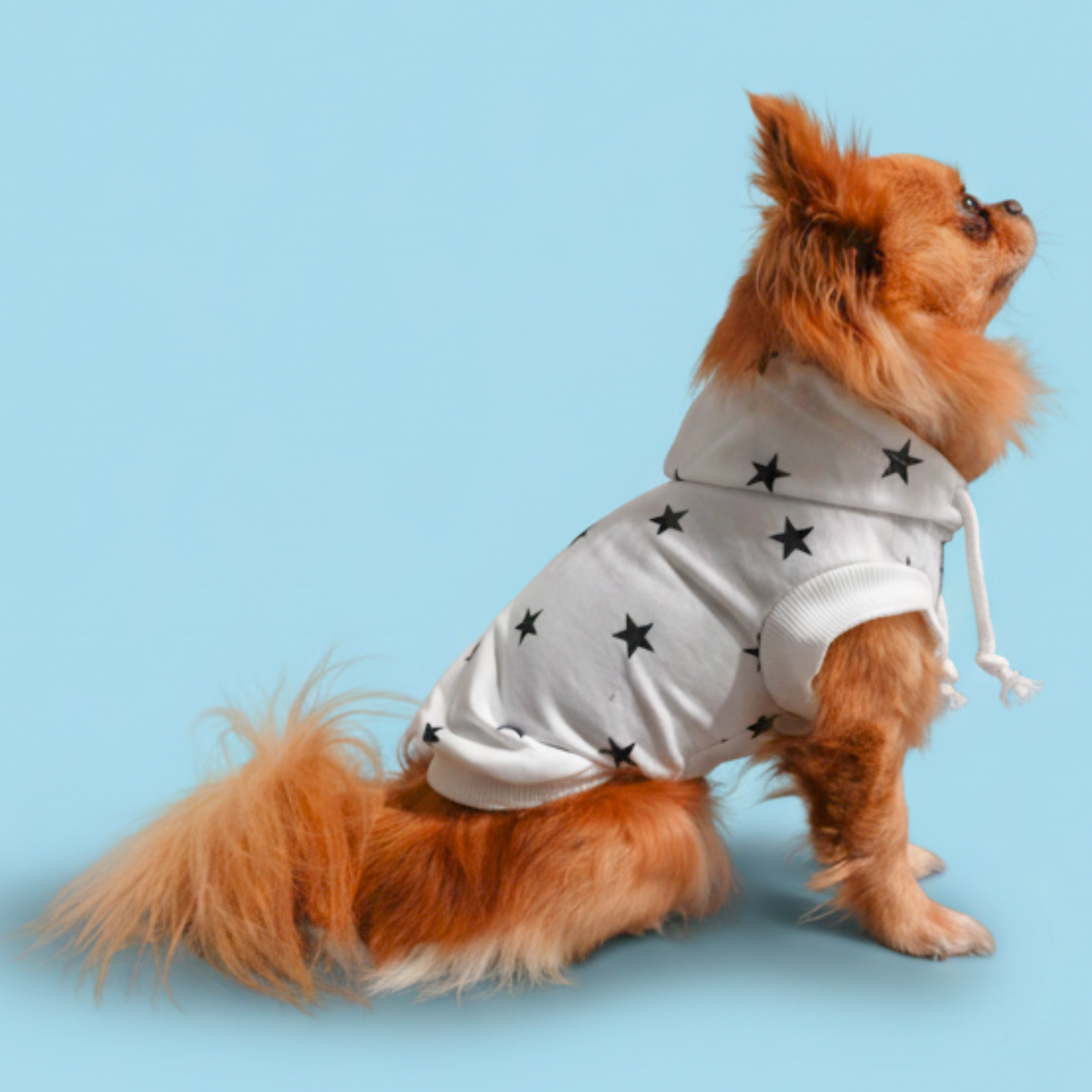 犬服 小型犬｜星柄パーカー 薄手スウェット フーディー 年中使えるカジュアルウェア