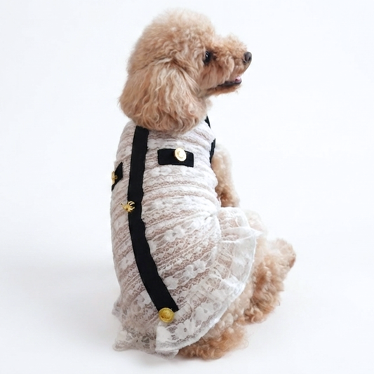 犬服 小型犬｜クラシカル 上品 シースルー レースワンピース