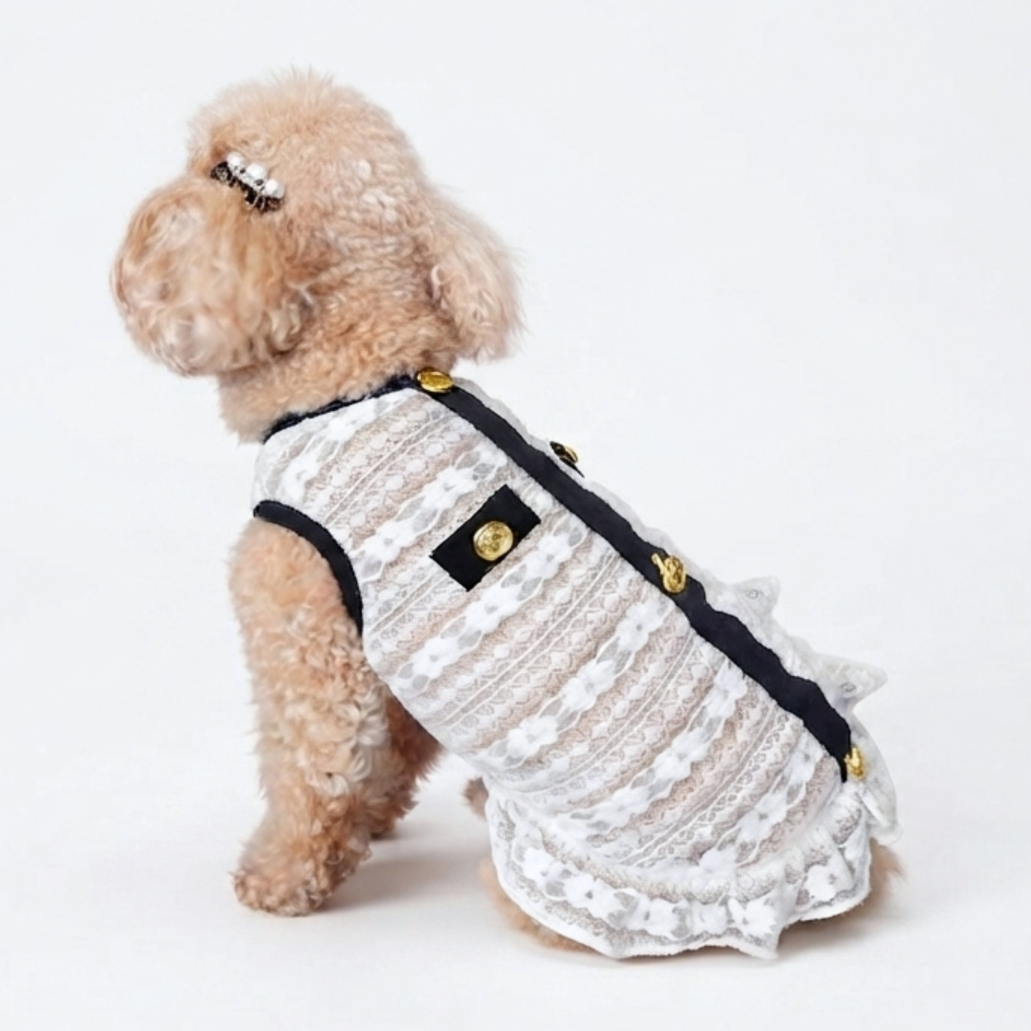 犬服 小型犬｜クラシカル 上品 シースルー レースワンピース