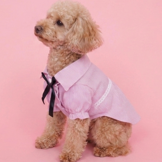 犬服 小型犬｜ピンクのストライプリボンフリルシャツ トップス