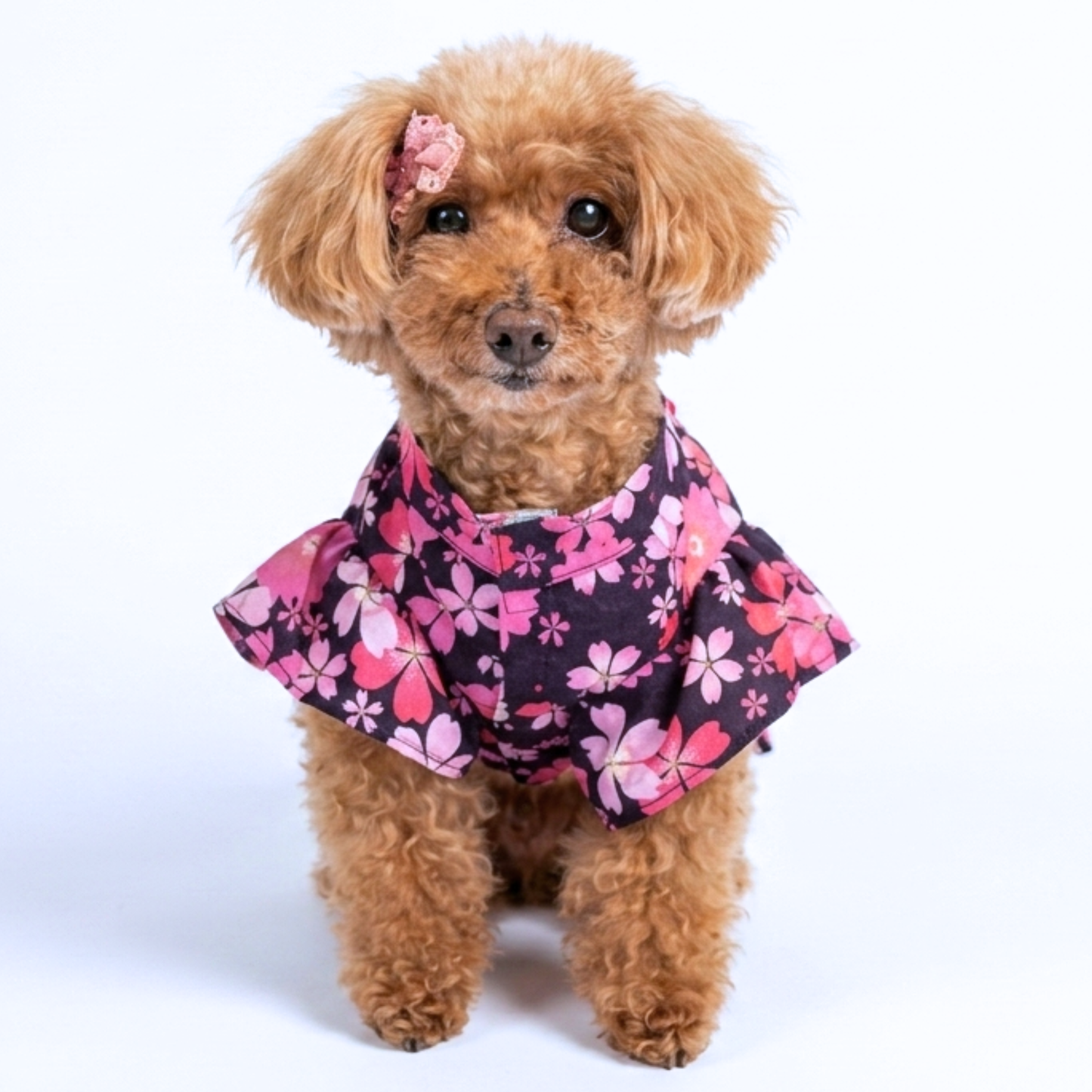 犬服 小型犬｜桜柄リボン浴衣 和風 夏祭り