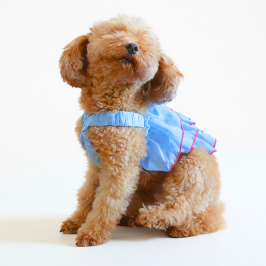 犬服 小型犬｜3段フリルシフォン キャミソールトップス
