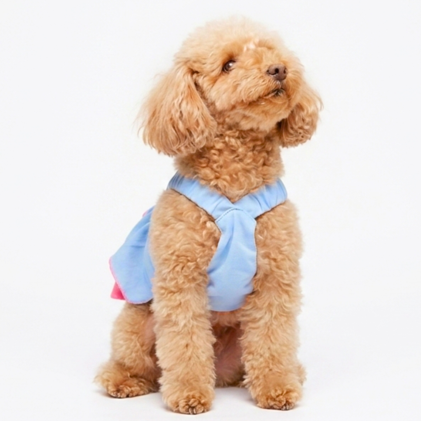 犬服 小型犬｜3段フリルシフォン キャミソールトップス