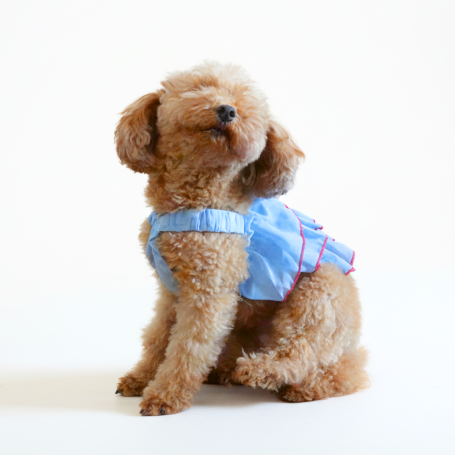 犬服 小型犬 女の子|韓国風デザイン フリルキャミワンピース – Maison 犬服 小型犬 女の子|韓国風デザイン フリルキャミワンピース – Maison