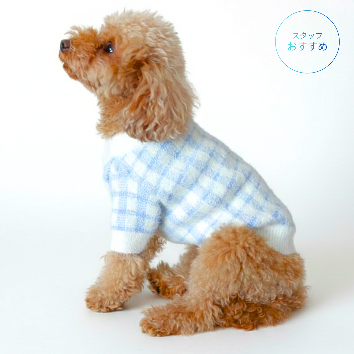 犬柄 カーディガン 羽織 ネイビー 藍色 ドッグラン 散歩 犬好き dog 