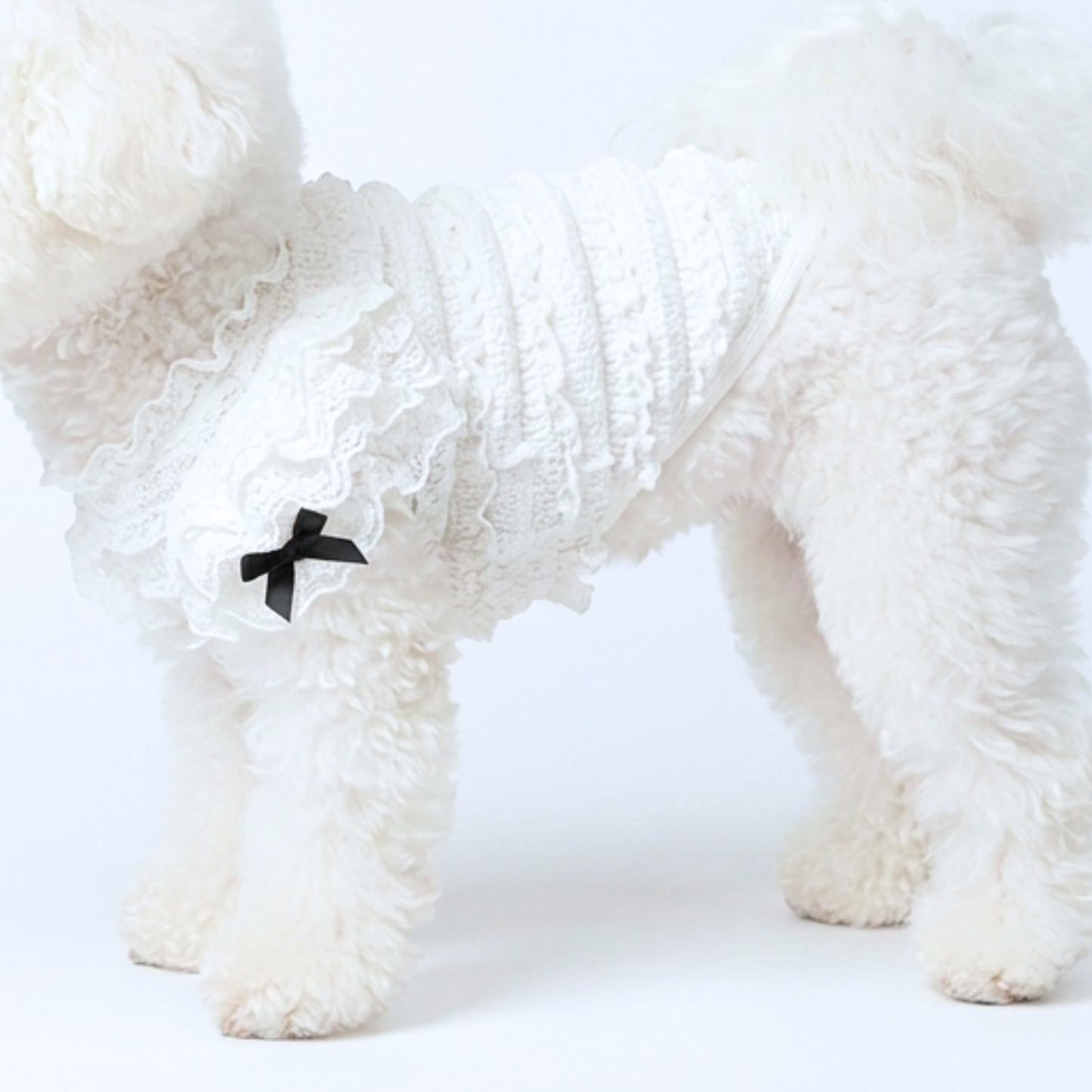 犬服 小型犬｜レースフリルトップス ガーリー