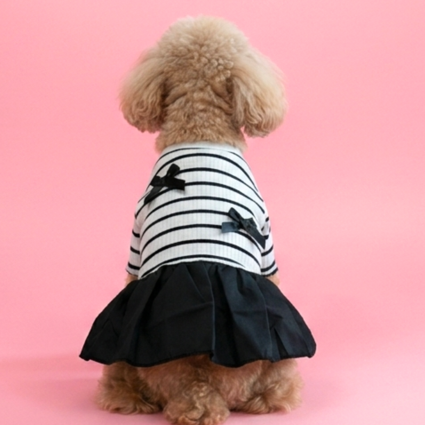 犬服 小型犬｜リボン付き ボーダーフリルワンピース（オールシーズン）