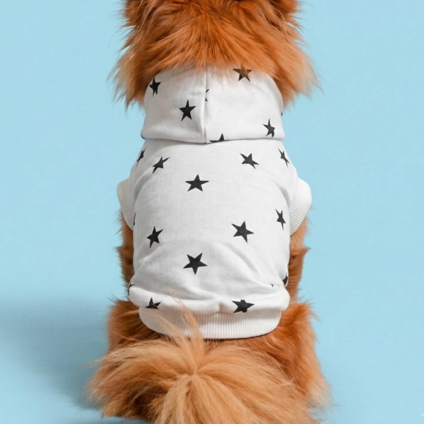 犬服 小型犬｜星柄パーカー 薄手スウェット フーディー 年中使えるカジュアルウェア