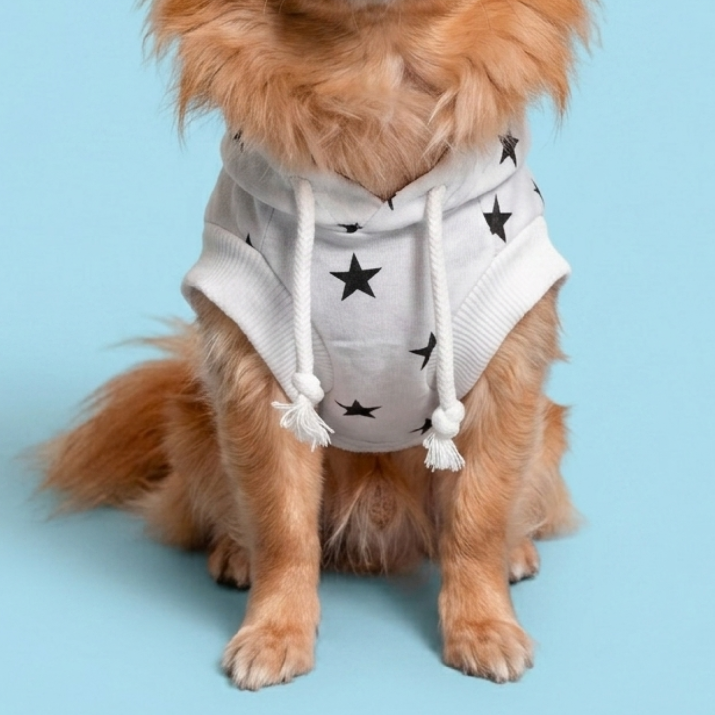 犬服 小型犬｜星柄パーカー 薄手スウェット フーディー 年中使えるカジュアルウェア