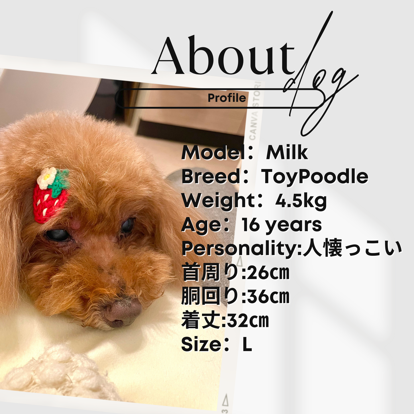 犬服 小型犬｜ドット柄リボンロンパース