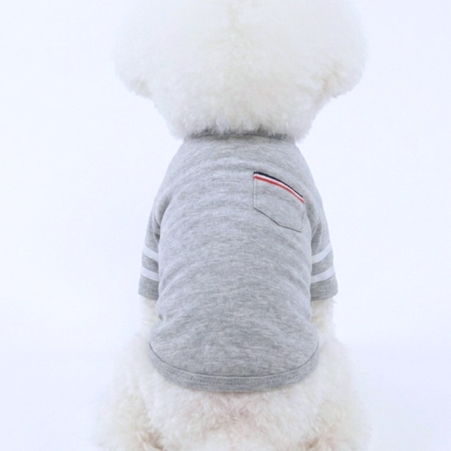 犬服 小型犬｜ カジュアルTシャツ スポーティデザイン