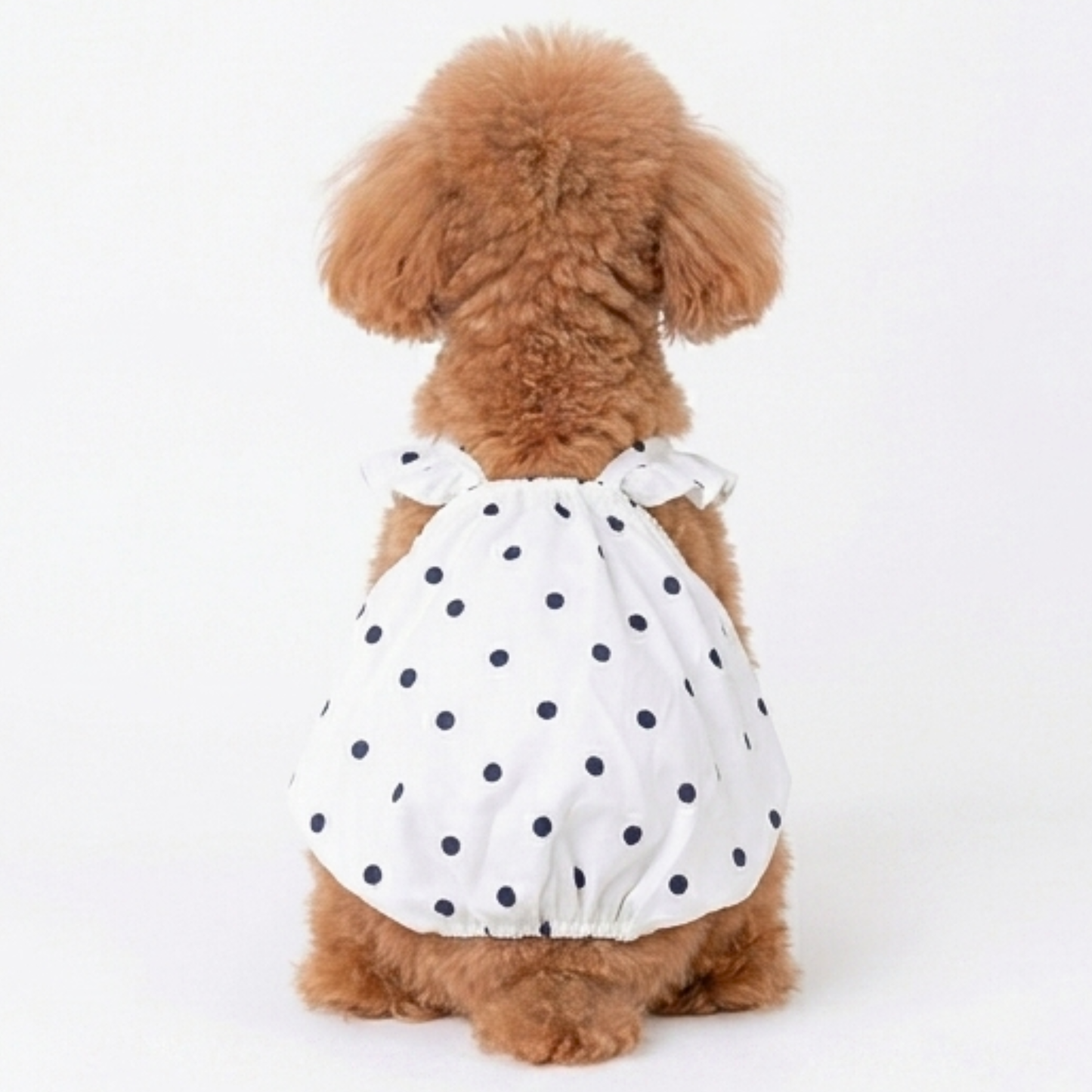 犬服 小型犬｜ドット柄フリルワンピース ホワイトガーリーデザイン