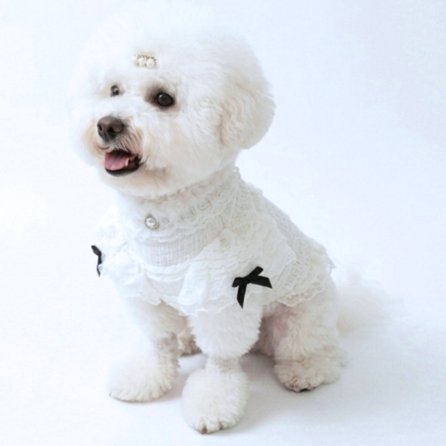 犬服 小型犬｜レースフリルトップス ガーリー