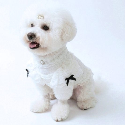 犬服 小型犬｜レースフリルトップス ガーリー