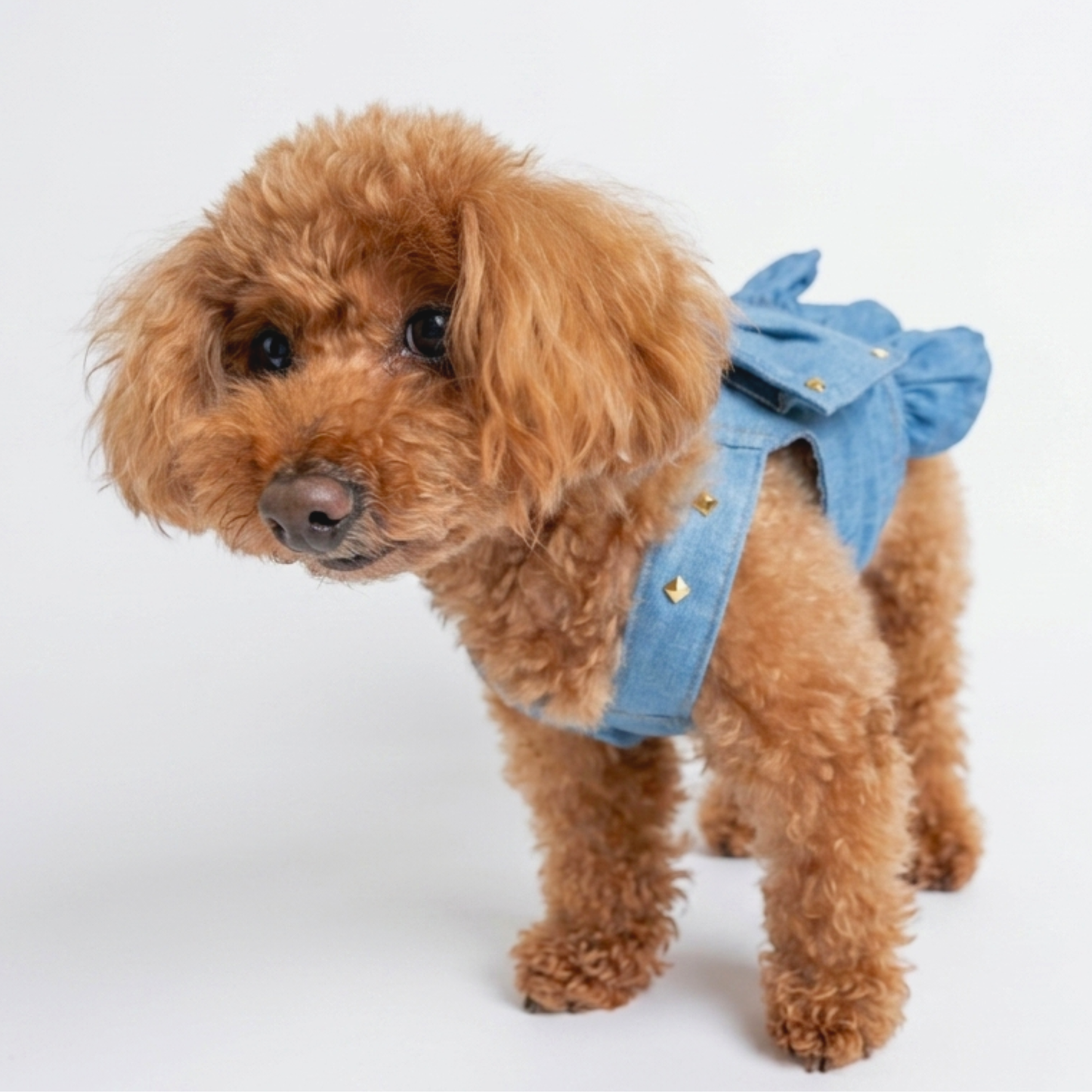 犬服 小型犬｜デニム風リボンワンピース 上品スタッズ付きフリルデザイン