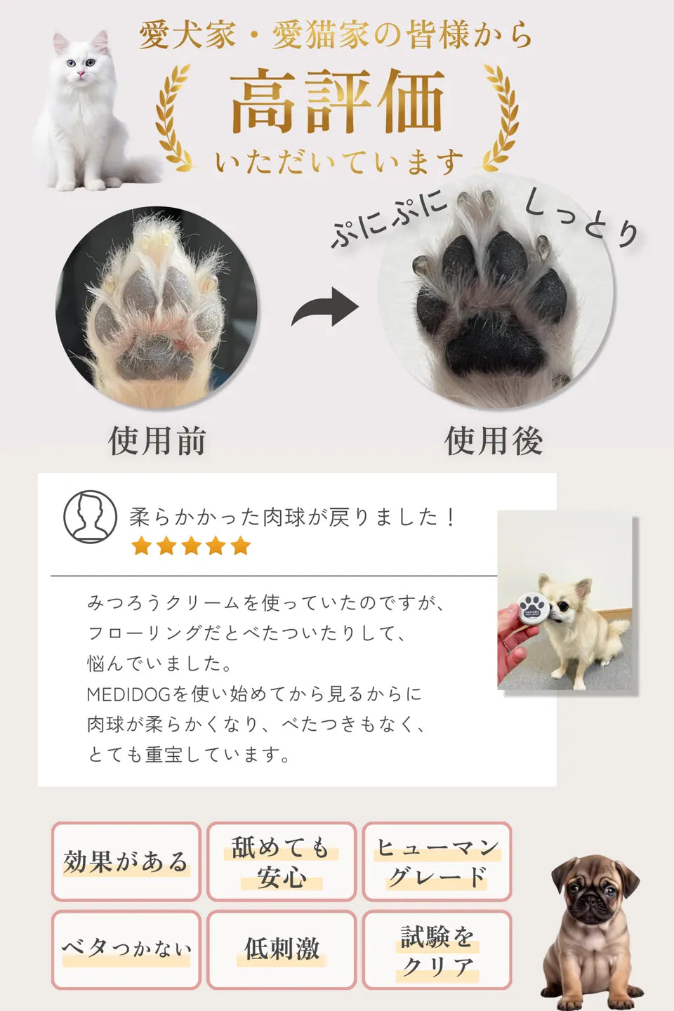 [薬剤師×獣医師監修] MEDICAT/MEDIDOG 肉球クリーム PAW CREAM 20g